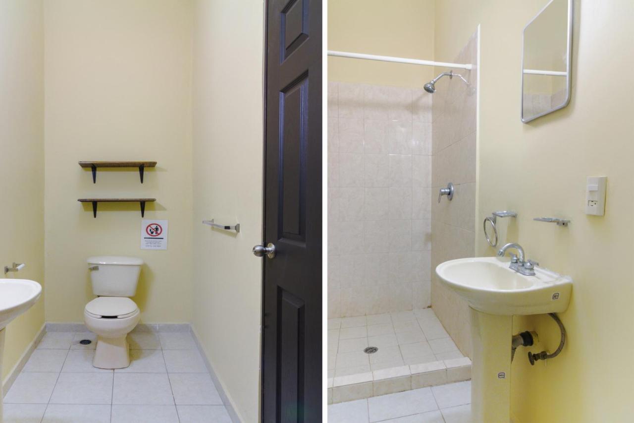 فندق Ecohabit, Monterrey Apodaca المظهر الخارجي الصورة